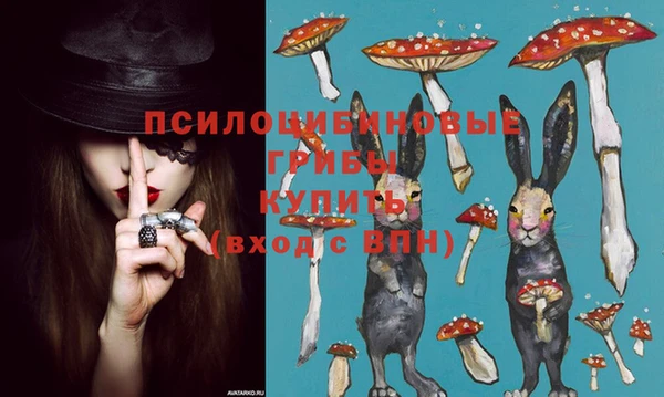 прущие крисы Балахна